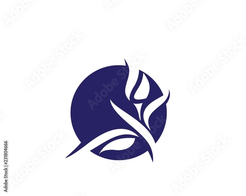 Beauty Vector Lotus flowers design logo