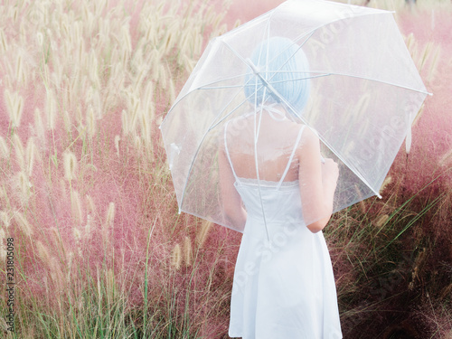 Rear view of beautiful young Chinese woman wearing white halter dress and holding transparent umbrella standing in the middle of pink hairawn muhly flowers fields. photo