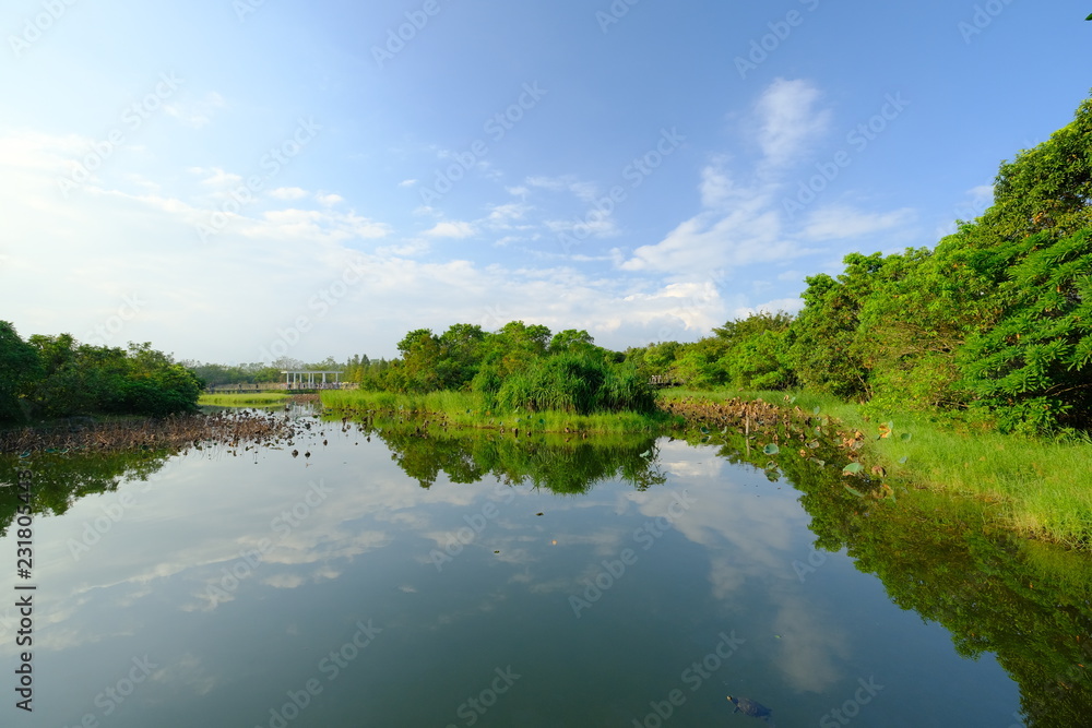 Beautiful landscape view in the wetland park in Hong Kong. Beautiful landscape view in the wetland park in Hong Kong.