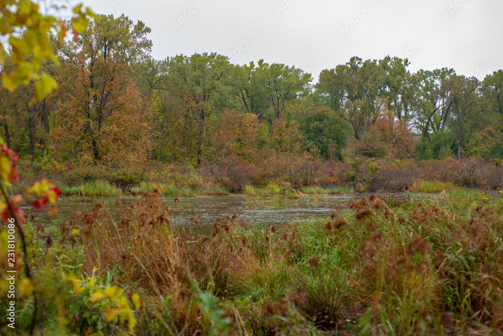 Autumn leaves frame the bird refuge in Presque Isle State Park