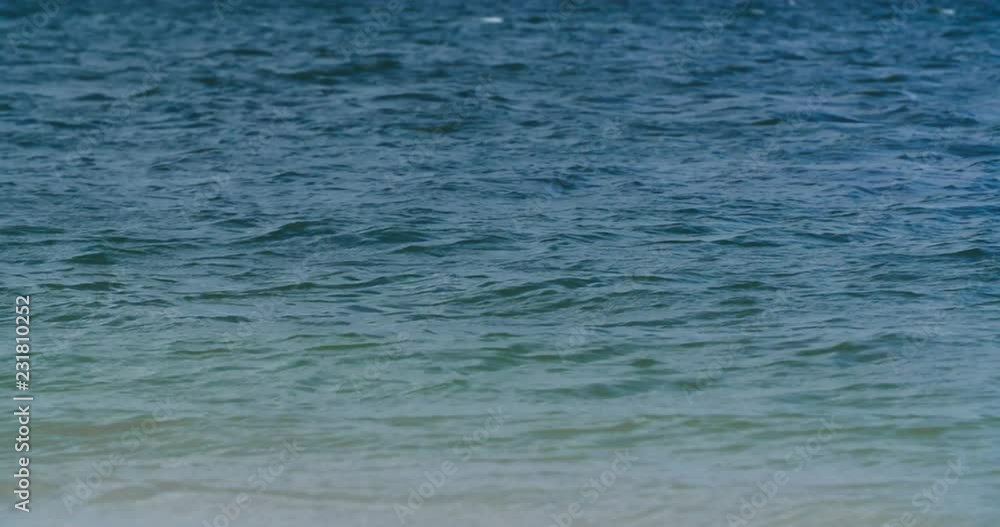 Ocean Waves Dance and Crash Into the Shore Ocean Waves Dance and Crash Into the Shore