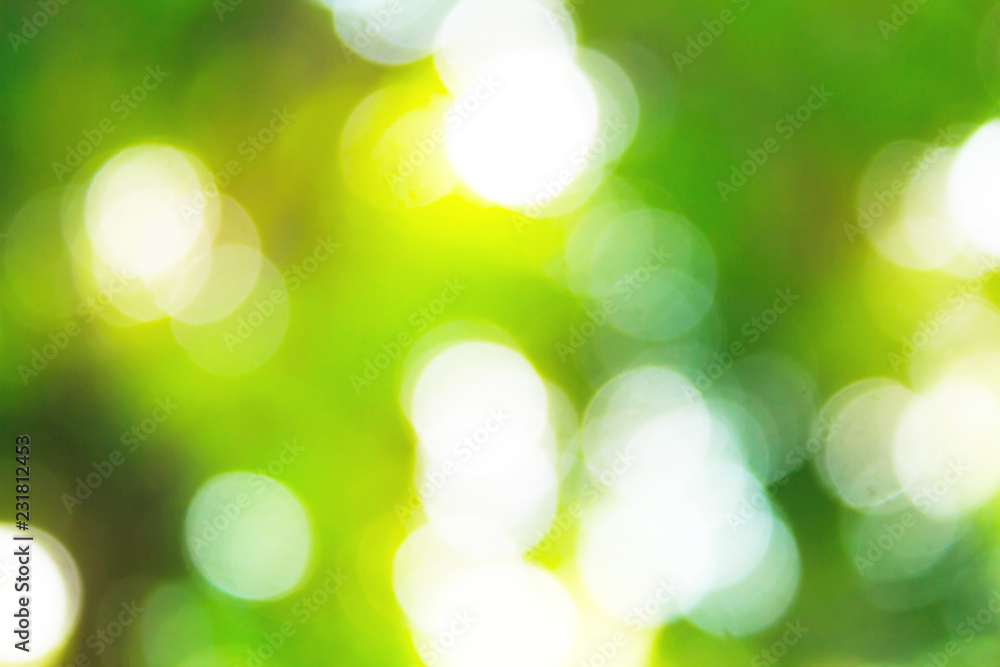 Fototapeta premium Abstract bokeh background from Green leaf