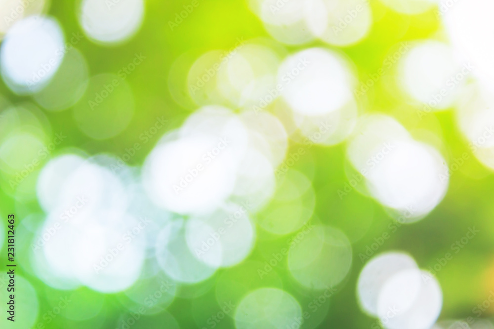 Abstract bokeh background from Green leaf
