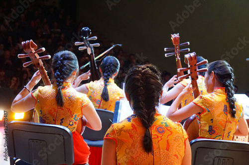 Chinese orchestra
