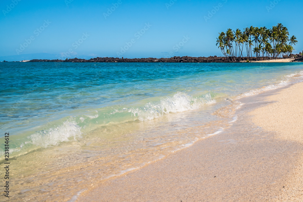 Blue ocean, beach and palm trees