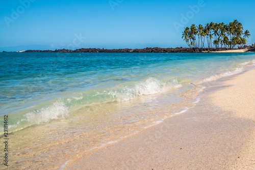 Blue ocean  beach and palm trees