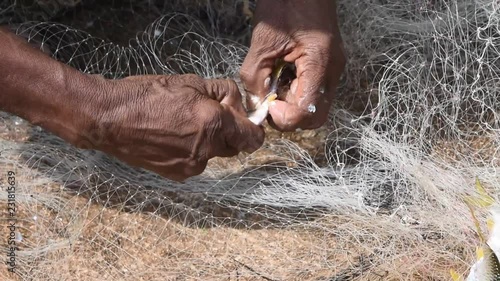 Many freshwater fishes caught with local  tool , Fisherman hands take fish off fishing net ,  Cyprinidae fish  (Mystacoleucus marginatus) in Thailand photo