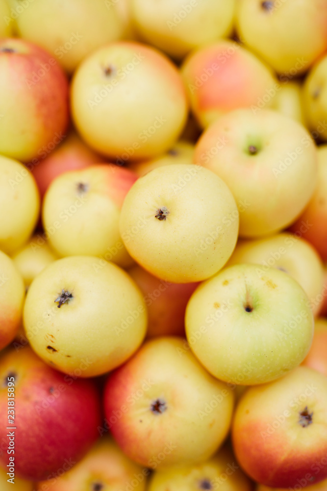 Yellow apple background: heap of fresh tasty apples in food organic shop Yellow apple background: heap of fresh tasty apples in food organic shop