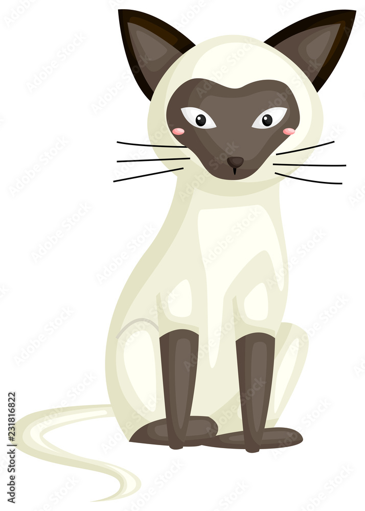 a cute vector of a siamese cat