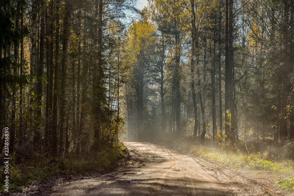 Fototapeta premium Frost melts on the grass from the sun.