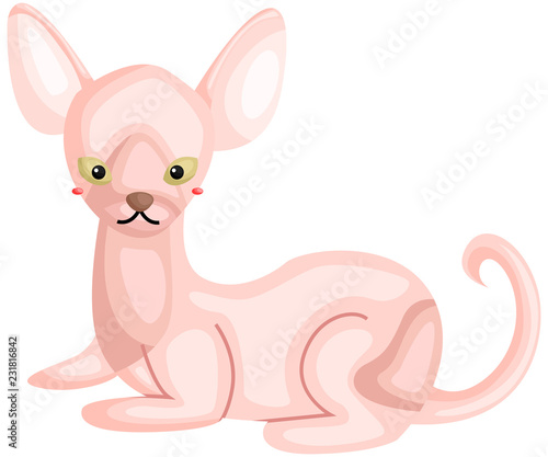 a vector of a sphynx cat
