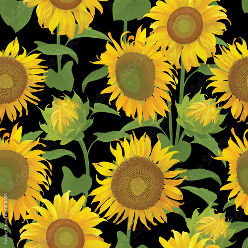 Fototapeta Naklejka Na Ścianę i Meble -  Seamless pattern of sunflowers with leaf on black background. Vector set of blooming floral for holiday invitations, greeting card and fashion design.