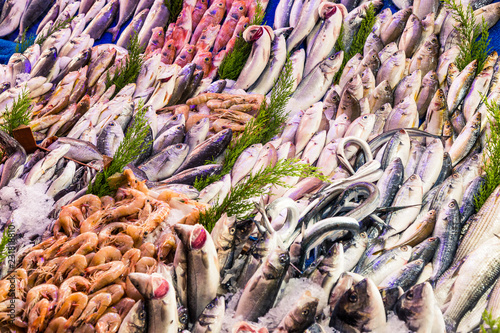 Fresh fish in ice, on sale in the market. Many varieties of different fish from the sea and ocean. Shrimp is an ingredient for making delicious dishes. Showcase in the fish restaurant.