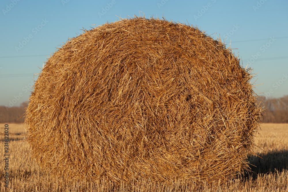 Haystack harvest spring field landscape. Haystack agriculture field landscape. Agriculture field haystacks Haystack harvest spring field landscape. Haystack agriculture field landscape. Agriculture field haystacks