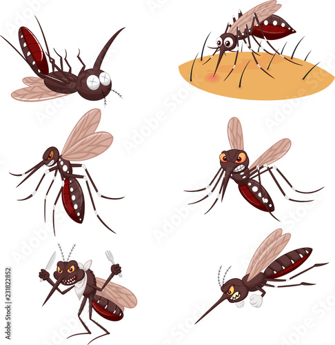 Cartoon mosquito collection set