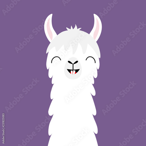 Llama alpaca animal face neck. Funny teeth. Fluffy hair fur. Cute cartoon kawaii character. Childish baby collection. T-shirt, greeting card, poster template print. Flat design. Violet background.