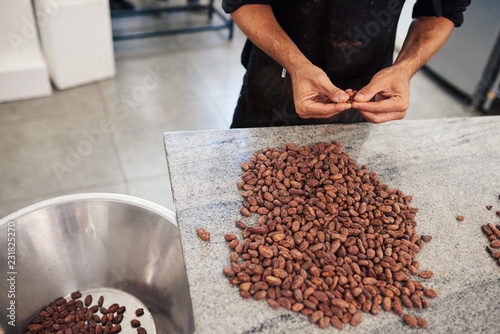 Worker selecting quality cocao beans for chocolate production by hand