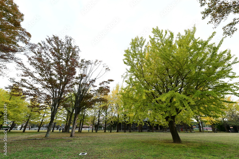 Fototapeta premium 茨城県立歴史館