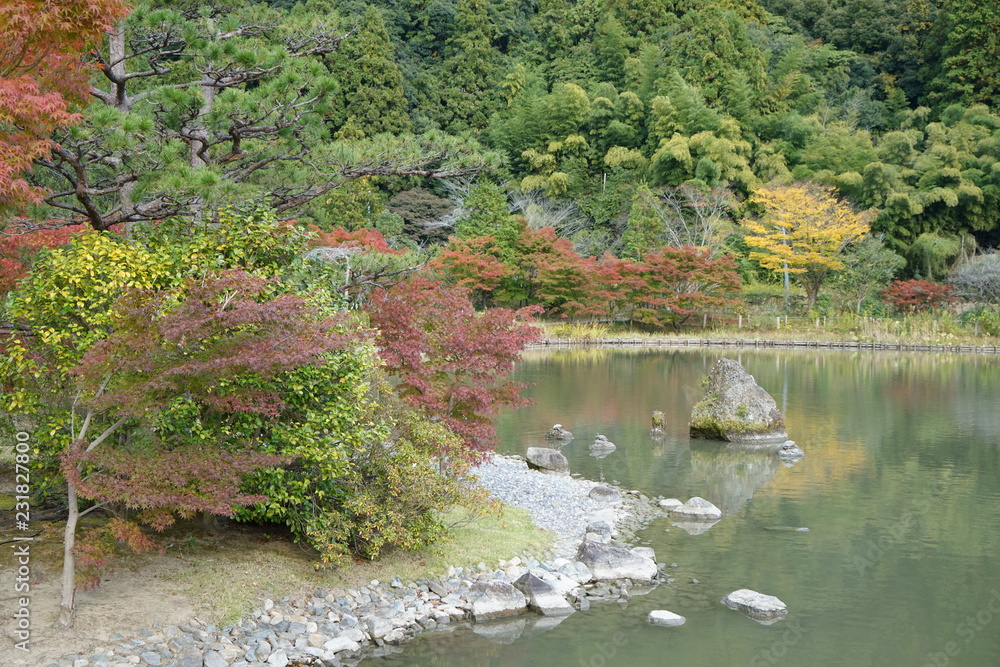 紅葉