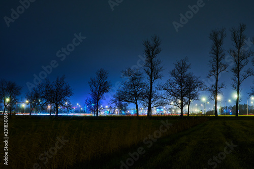 night Saint-Petersburg