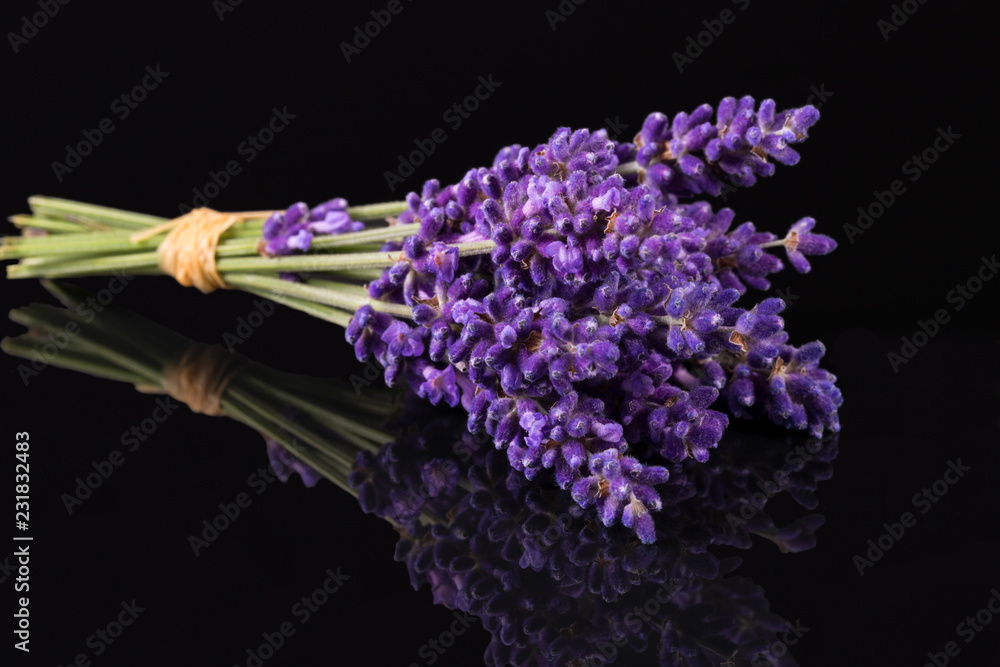 Fototapeta premium Bouguet fioletowe kwiaty lawendy na białym tle na czarnym tle, z bliska