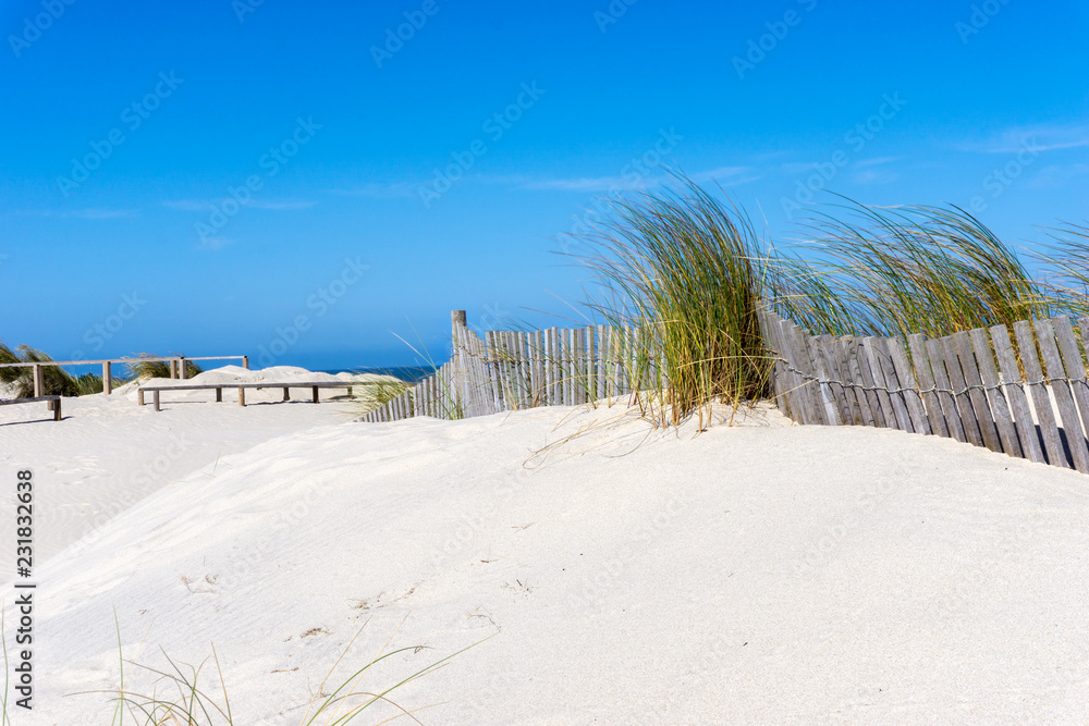  Sand Dune with Grasses at the seaside under blue sky