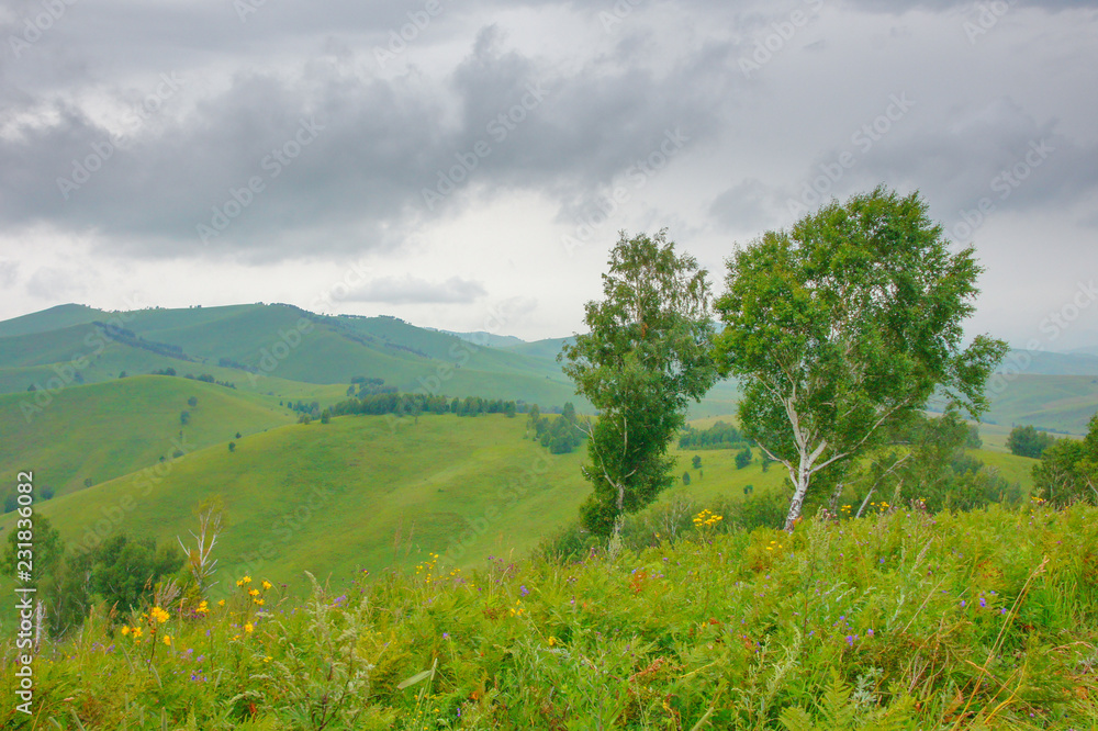 Obraz premium The hills and roads in the Altai