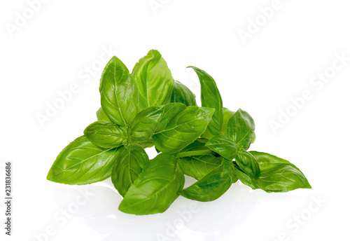 Basil fresh leaves isolated on white background