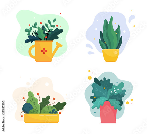 Set of abstract lush plants in flowerpots and watering can. Assorted leaves, flowers and berries. Domestic gardening illustration in modern simple flat art style. Vector illustration isolated on white