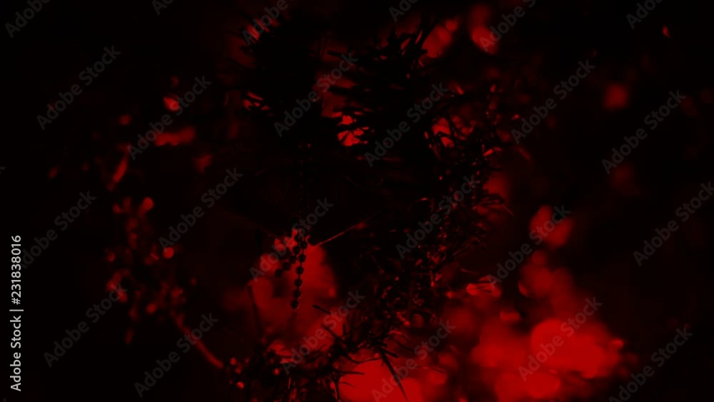 Christmas tree and Christmas lights, Merry Christmas and Happy Holidays, decorated Christmas tree Christmas tree and Christmas lights, Merry Christmas and Happy Holidays, decorated Christmas tree