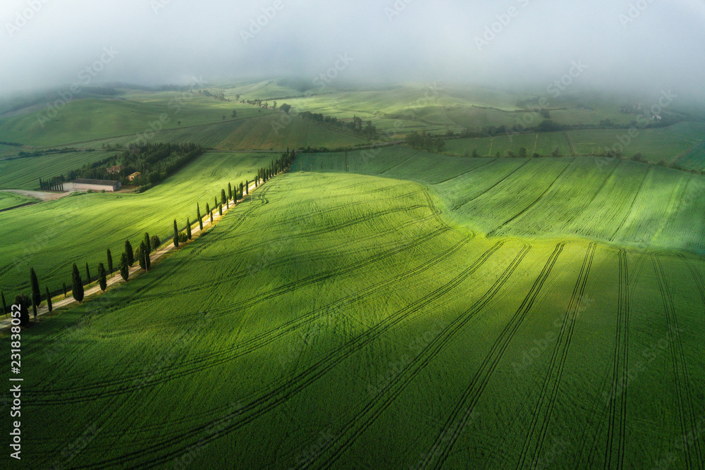 Obraz premium Aerial shot by drone of the green tuscan meadows at sunny foggy spring morning