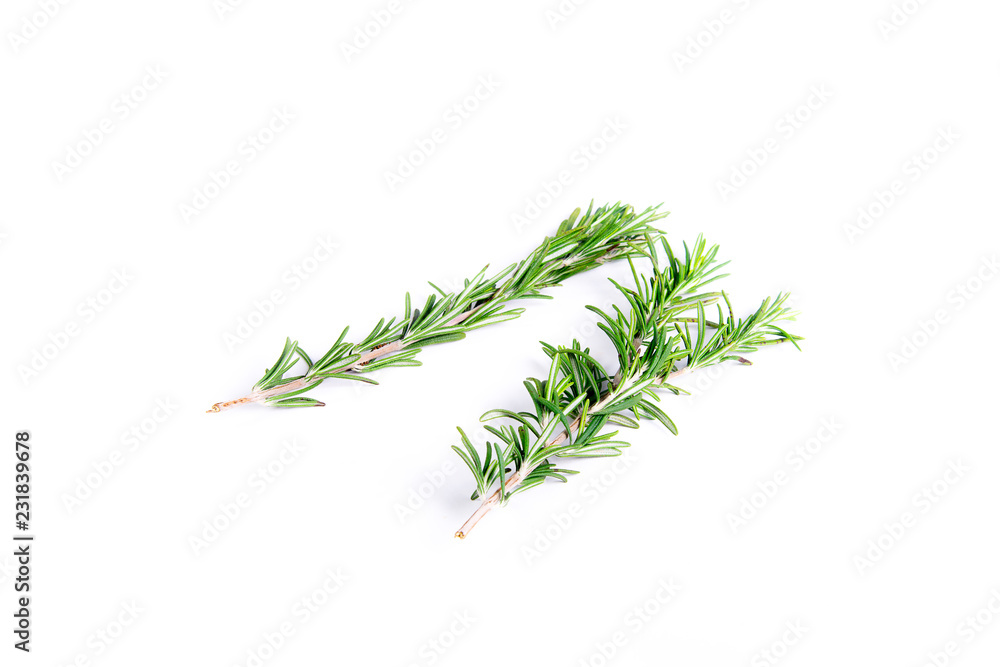 Isolated sprigs of rosemary on white
