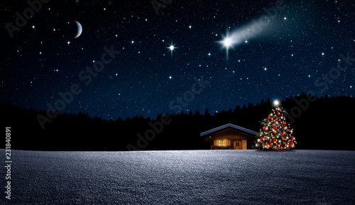Bild auf Leinwand Weihnachtbaum im Nächtlichen Winterwald