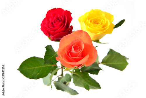 Bouquet of roses  isolated on white background.