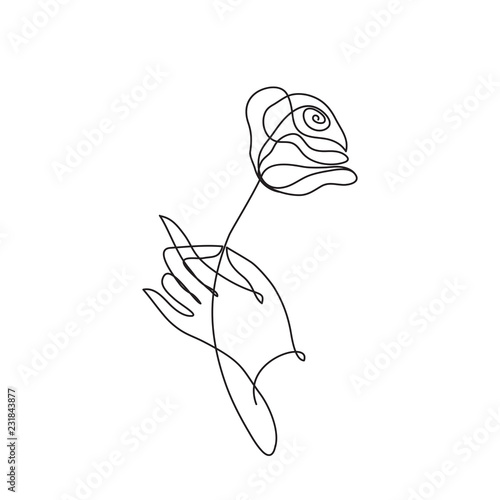 Fototapeta Dłoń trzymająca różę. Ciągła grafika liniowa. Minimalistyczny styl