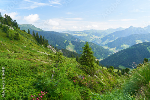 Alpen Panorama mit Berg Landschaft