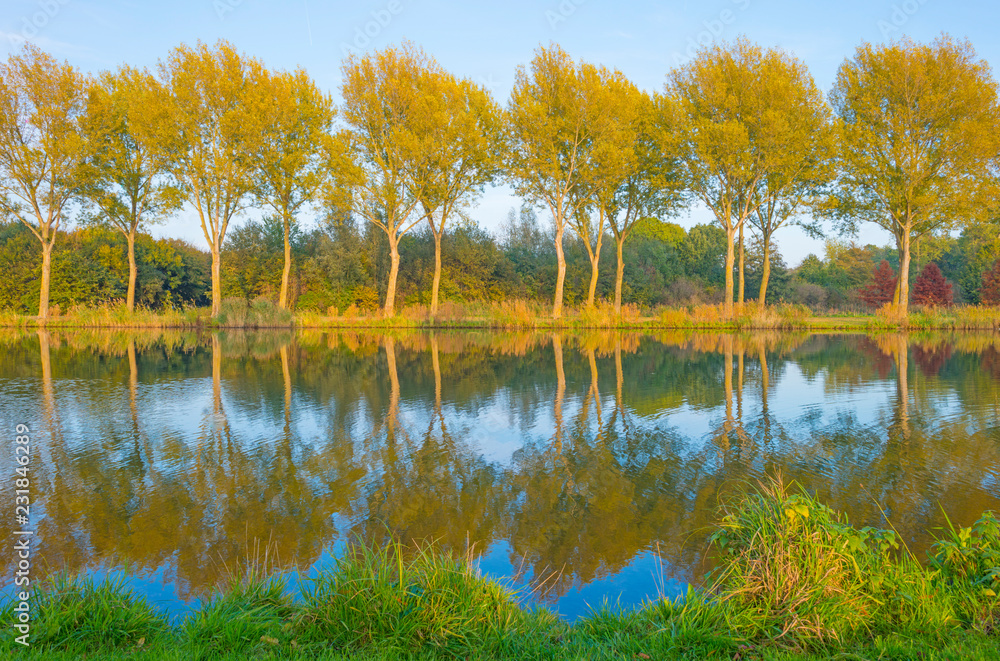 Fototapeta premium Shore of a canal along trees in sunlight at fall