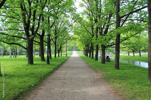 path in the park