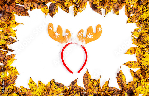 Leaves frame and reindeer headband