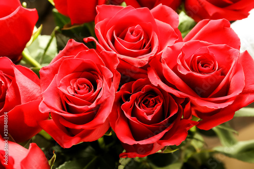 Bouquet of beautiful roses  closeup