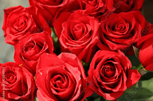 Bouquet of beautiful roses  closeup