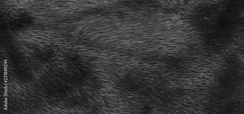 black fur, abstract background photo