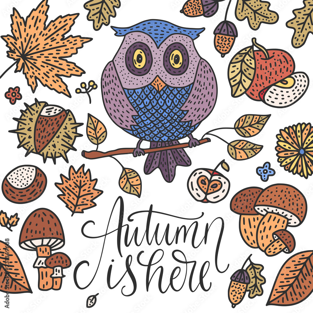 Obraz premium Cozy fall vector illustration. Autumn vector lettering card.