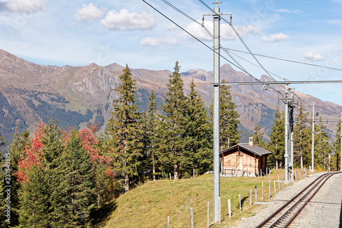 Views of Grindelwald valley from train heading for Grindelwald, Jungfrau Region, Switzerland © hajes