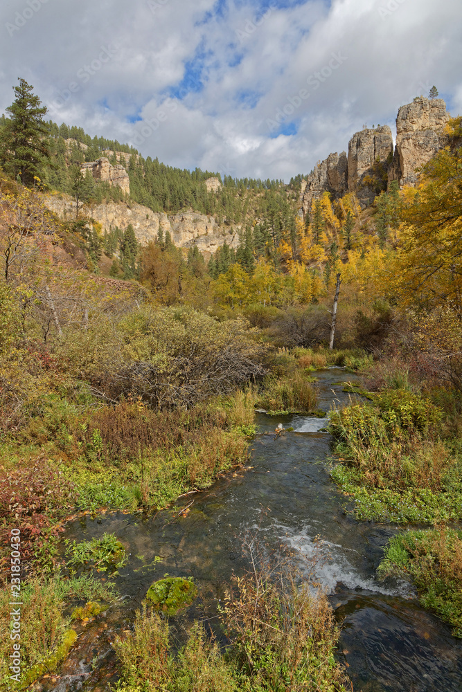 Fall landscape in Spearfish Canyon, Black Hills, South Dakota Fall landscape in Spearfish Canyon, Black Hills, South Dakota
