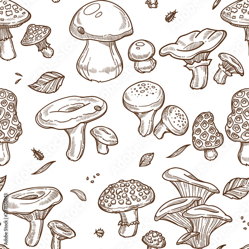 Mushrooms sketch seamless pattern. Vector edible illustration