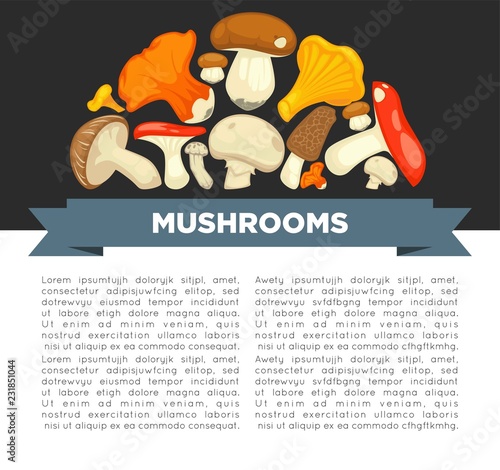Ripe forest mushrooms of all edible species on promotional poster with sample text