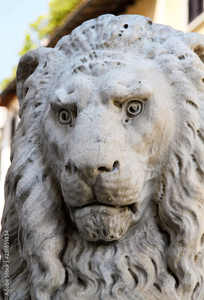 close-up portrait of a lion sculpture in florence