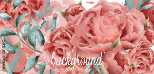 Rose flowers watercolor background Vector. Beautiful vintage pink colors floral decors