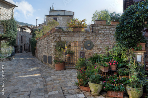 Fototapeta Naklejka Na Ścianę i Meble -  Assisi